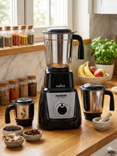 Load image into Gallery viewer, Wellus Sanddy Eco 500 W Juicer Mixer Grinder 3 Jars V