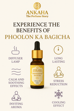 Load image into Gallery viewer, Ankaha Essential Oil Diffuser set 50ml | 10ml x 5 fragrances | Aromotherapy, Relax & Therapeutic|