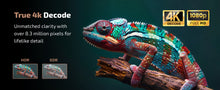 Load image into Gallery viewer, FIZIX FX PRO 1080P Native Fully Automatic Projector
