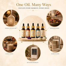 Load image into Gallery viewer, Ankaha Essential Oil Diffuser set 50ml | 10ml x 5 fragrances | Aromotherapy, Relax &amp; Therapeutic|
