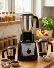 Load image into Gallery viewer, Wellus Eco 550 W Juicer Mixer Grinder (Eco Heavy Duty 550W 3 Jar Juicer Mixer Grinder | 3 Jars

